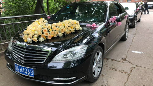 河南租车报价、厂家资源与二手车经销市场概览